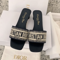 Christian Dior Slippers